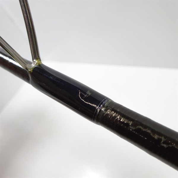 ２１ポイズングロリアス263ML